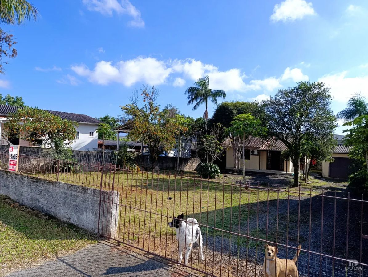 OPORTUNIDADE UNICA