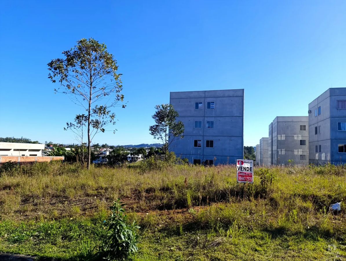 Terreno plano à venda em Criciúma