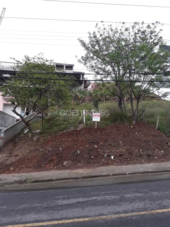 Terreno para aluguel em Vera Cruz, Criciúma