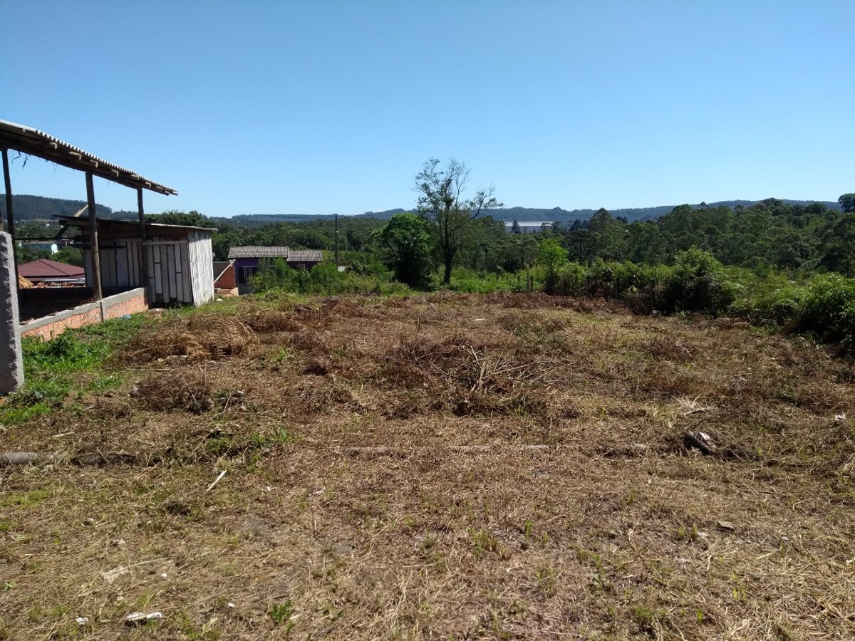 Terreno no Laranjinha, Criciúma