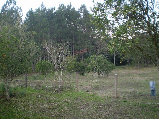 Terreno no Pinheirinho, Criciúma