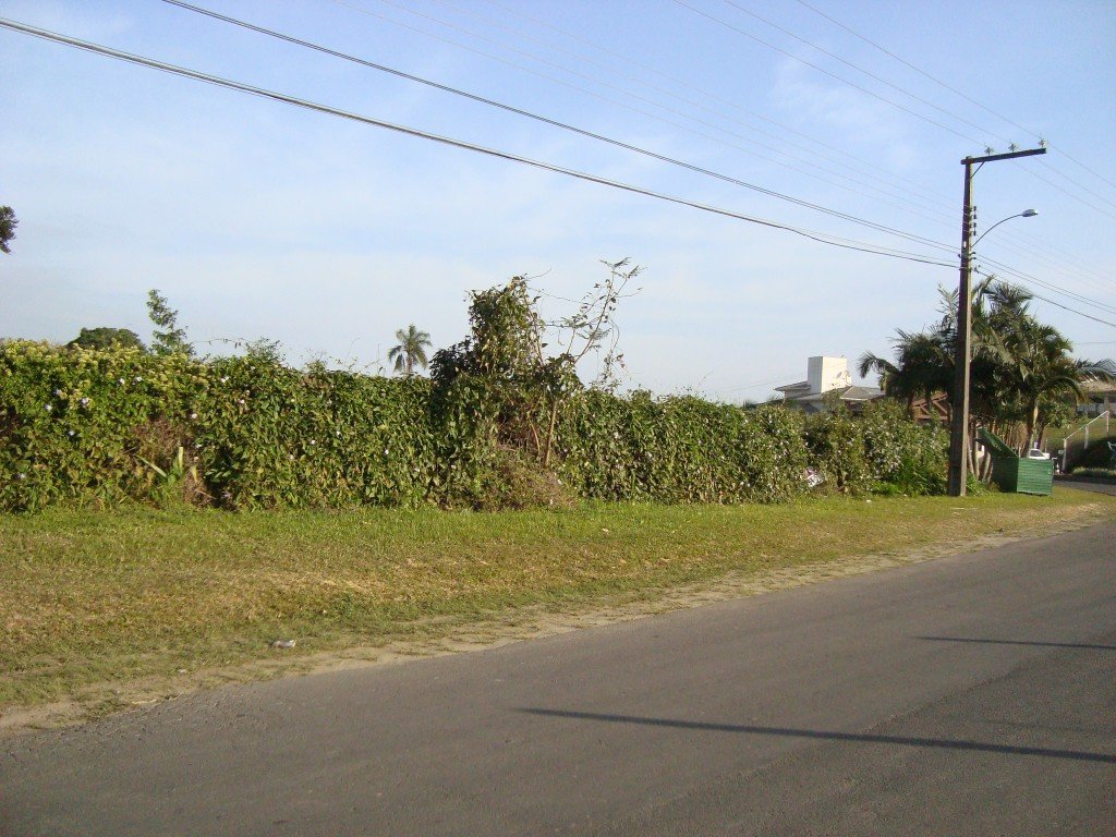 Terreno no Sao Luiz, Criciúma