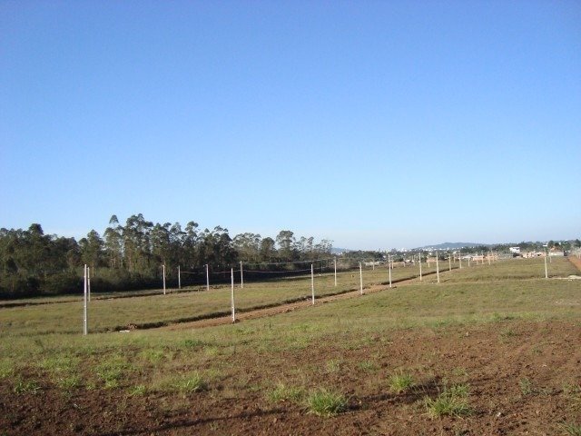 Terreno no Santa Luzia, Criciúma