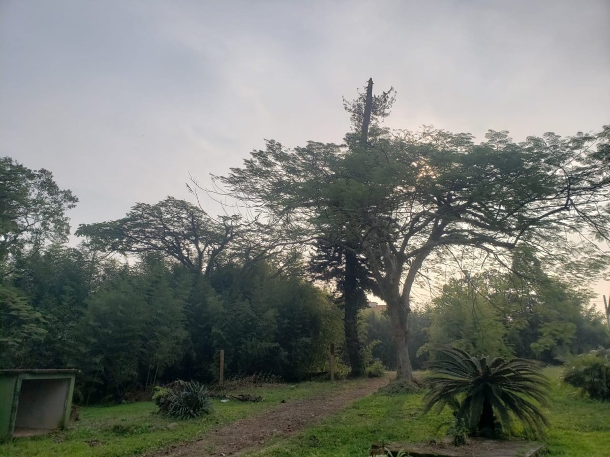 Terreno no Santa Barbara, Criciúma