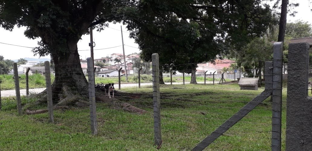 Terreno no Pinheirinho, Criciúma